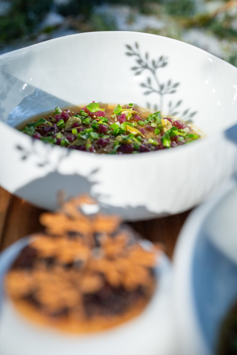 nos plats.-14
